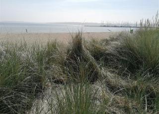 Ferienwohnung am Wasser Wassersleben - Harrislee - 8