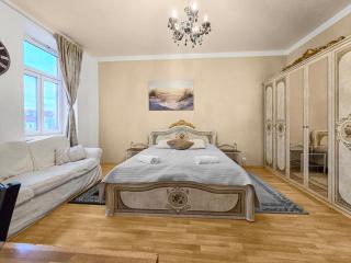 Davidov Stays Danube - Vienna - 8