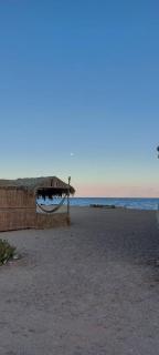 New Galluma Camp - Nuweiba` - 2