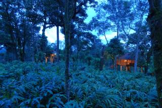 Carmelia Haven Resort Thekkady - Thekkady - 4