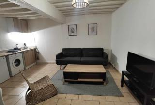 Duplex proche Jardins des plantes - Rouen - 5