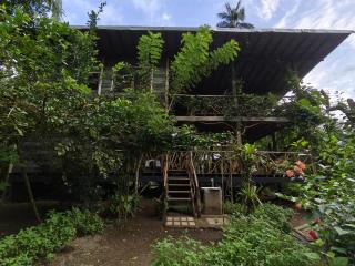 Majagua - Bahía Solano - 8