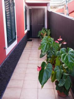 Sea & Mountain View Lombo de Cima House BBQ & Wifi - Santana - 7