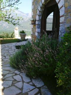 Ann's House-Under the shadow of a castle with pool and view - - 9