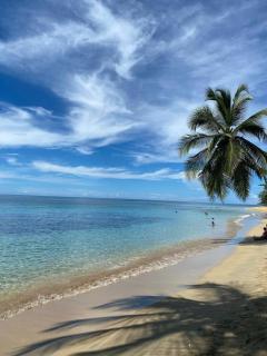 Casa nature-Aire Conditioning-Internet Rapido - Cocles - 9
