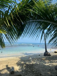 Casa nature-Aire Conditioning-Internet Rapido - Cocles - 4