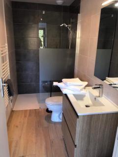 Gîte 3 étoiles avec spa, vue sur parc animalier - Montrozier - 4