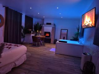loft de luxe jacuzzi et jardin privatif 10 minutes de stade de france - Saint-Prix - 0