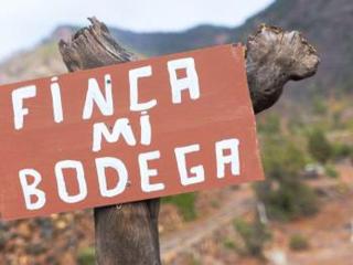 Live Apartamento finca mi bodega - Araya - 7