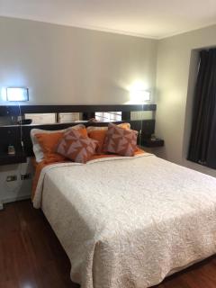 Depto en el mejor lugar de Providencia - 8