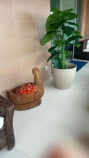 House in condominium - Aracaju - 6