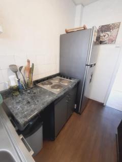 Departamento pleno centro viña - 3