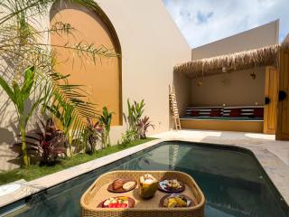 Stunning new 2-Bedroom Villa with Private Pool in North Canggu - Canggu - 4