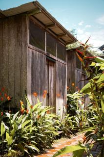 PRIMITIVO LODGE & dive center - 6