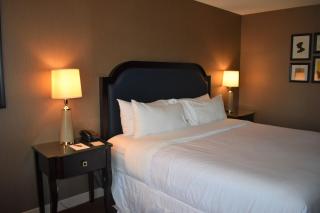 Sheraton Lisle Naperville Hotel - Lisle - 2