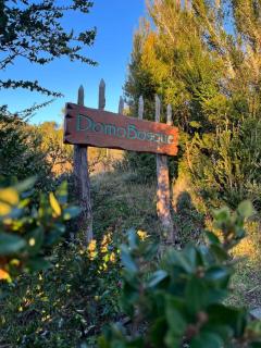 Domobosque - Ancud - 6