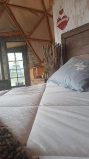 Domobosque - Ancud - 1