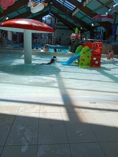 Siblu Domaine de Kerlann mobile home LUMINOSA - Pont-Aven - 2