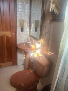 Casa de Quincha - Las Tablas - 4