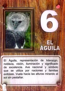 Casa de Quincha - Las Tablas - 9