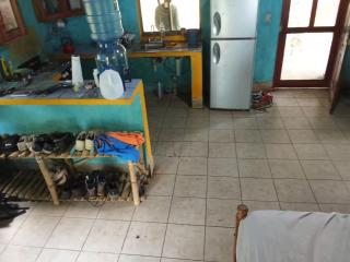 GReEN TURTLE - Rivas - 5