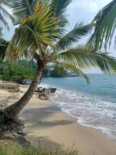 Eden Paradise Ecolodge & Spa - Sainte-Luce - 1