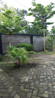 Niti Guest House - - 2