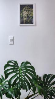 Céntrico apartamento hojas frescas - Sogamoso - 3