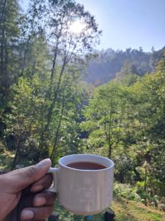 Nature's nest farmstay and camp - 7