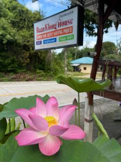 Baan Klong House - Baan Khai - 2