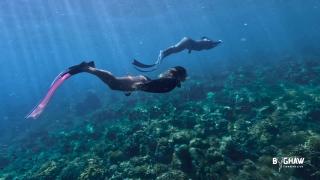 Bughaw Dive House - Anilao, Mabini, Batangas - 5