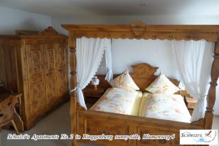 Schwizi's Apartments - Ringgenberg - 6