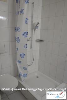 Schwizi's Apartments - Ringgenberg - 6