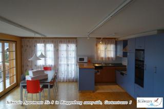 Schwizi's Apartments - Ringgenberg - 8