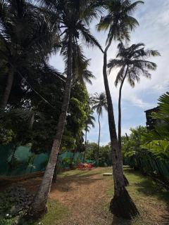 Sahyadri Homestay - Nagaon - 2