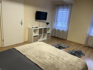 Gemütliche Appartement 5 - mit Küche und Bad zur Eigennutzung -Schuster Homes- - Vechelde - 9