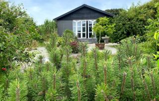2 Bedroom Awesome Home In Vestervig - Vestervig - 3