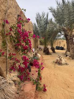 TATRABENT - Eco Friendly retreat in Siwa - Siwa - 6