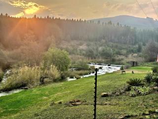 Misty River - - 5
