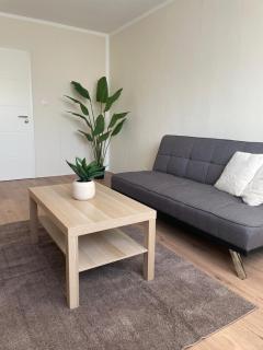 Appartement 1 - Zweizimmerwohnung mit Küche und Bad - Salzgitter - 2