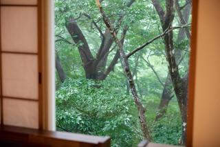 -Red Tree- レッドツリー レトロかわいい森に囲まれた静かな別荘 - Nasu - 2