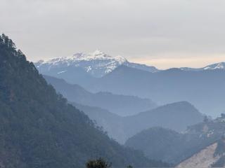 The Badasu Cottages - Phata - 3