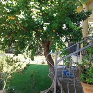 Anna Rita Alghero B&B - Fertilia - 7