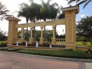 Beautiful 4 Bed In Prime Location - Kissimmee - 6