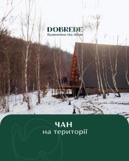Dobrede - будиночки під лісом - Dubrynychi - 9
