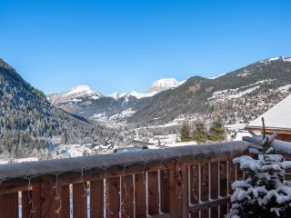 Soldanelles A12 - Bo Immobilier Chatel - Châtel - 7