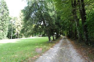 Little House - Limonta - 8