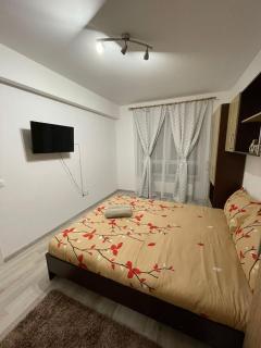 DDM Residence - Braşov - 8