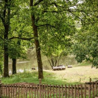 Gîte Rochetrejoux 2/4 pers 20 min Puy du Fou - - 4