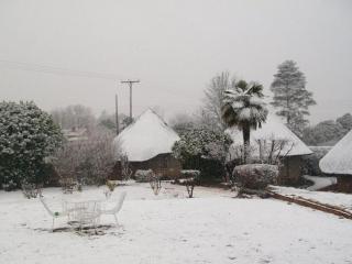 Bird Haven Guesthouse - 4